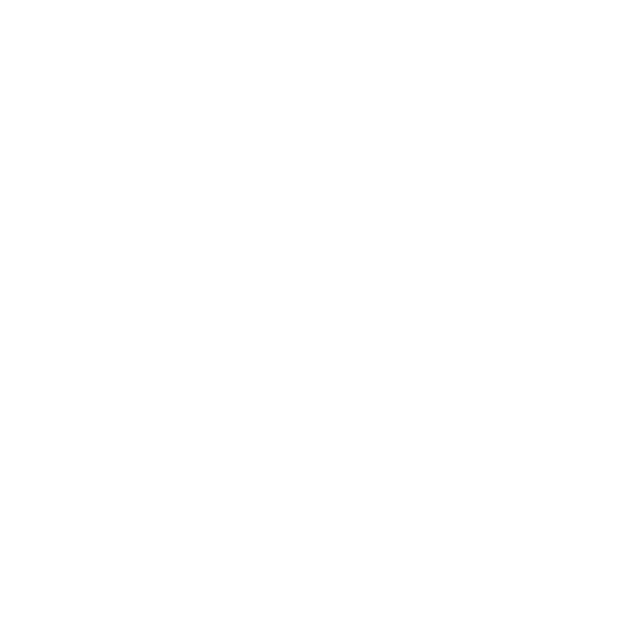 gospel preaching bible icon